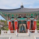 (주)해맞이고속관광 | 경북 울진 가볼만한곳 왕피천공원 케이블카타고 망양정 해맞이공원까지