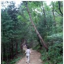 청계연세학원 | 재활 첫 트레킹으로 청계산에 오르다