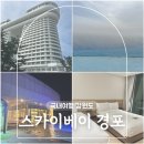 SKY365편의점 | 강릉 스카이베이 호텔 수영장 조식 경포 해변 오션뷰 숙소 추천
