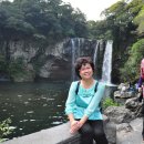 천지연폭포 이미지