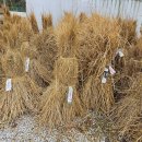 현미농장 이미지