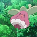 마라대장 이미지