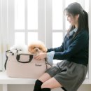펫츠마트 | 펫츠랜드 반려동물 스너그 슬링백 가벼운 외출용 강아지 가방 찾는다면?