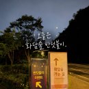 <2026 화담숲 반딧불이 축제> 후기 | 예약 꿀팁, 주차, 22:15 야간 관람 솔직 후기
