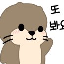 동탄동물병원 이미지