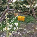 여장부(2농장) 이미지