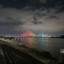 한강시민공원 암사대교 하부 | [공원]구리한강시민공원 밤풍경 및 리뷰