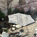 (주)봄앤 | 서울 용산 남영역 카페 굿뉴스 카페앤모어 후기 봄 카페 추천 목련 명소