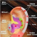티피시스템 이미지