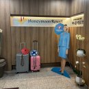 지인팜 | 발리 신혼여행: 팜투어 박람회 방문계약 후기(페이백, 지인할인링크 O)