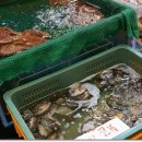 스넥카페 이미지