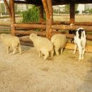 만석농장 이미지