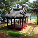 식파정 이미지