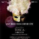 가족오페라 ’신콩쥐’ 네이버블로그