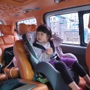 호원트래블 | 여행 계획, 아시아나 a380 2층 좌석&키즈밀, 몽키트래블 호텔예약, 환전, 어플, 유심 연장, 명절 공항...