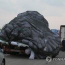 국제사 이미지