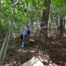 우직농장 이미지