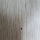 평촌1차한양 이미지