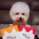 먹고가개 이미지