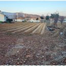 평택신도시공인중개사사무소 이미지