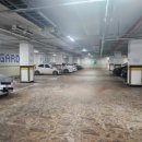 피티훈련소 이미지