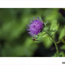 성주골 - 부천시 소사구 | 성주골