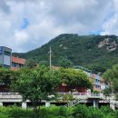 기아대교 이미지