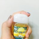 레몬향데이지 이미지