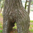 지리해수욕장 이미지