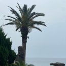 룩바디 짐 이미지