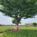 갯골안1 이미지