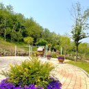 관청 근린공원 이미지