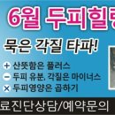 닥터포헤어안산 이미지