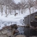 기초 여행영어 이미지