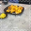범스마라 - 동구 | 범스마라