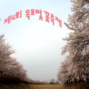 제4회 옥포벚꽃축제 이미지