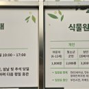 수피아 이미지