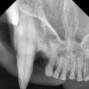 튼튼동물의료센터 이미지