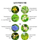 능전 이미지