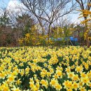 모장경로당 이미지