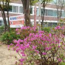 원비래어린이공원 이미지