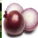 SAI MEDICAL 이미지