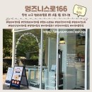 애견미용실 또이쁜댕 | 쿵이의 노곤노곤 스파 타임~ 신상 애견미용실 '멍즈니스로166'에 다녀왔어요!