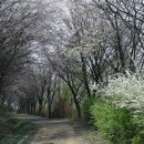 삼월리마을회관 이미지