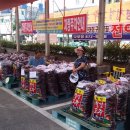 장터고추