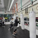 크로스복싱 | Z24 복싱&amp;크로스트레이닝 대구칠곡복싱에 다녀온 후기