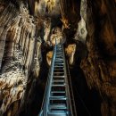 단양한우 목장 이미지