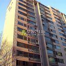 중원-126 Daum카페