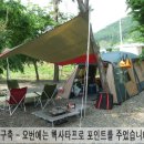 캠핑트리 이미지