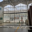 케이그린(주) 이미지